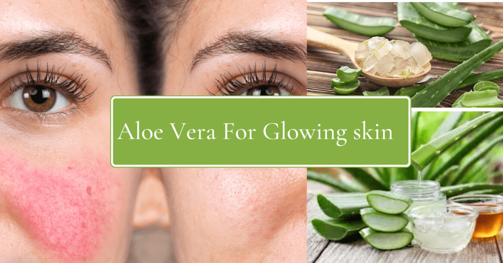 Aloe Vera: Nature's Skin Superstar | SkinClinic.pk